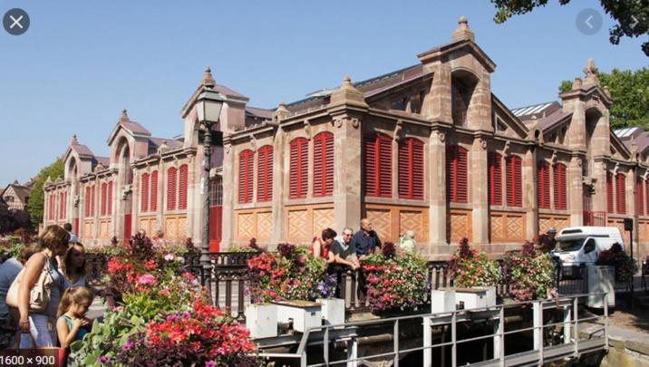 Belle Lauch Appartement Colmar Buitenkant foto